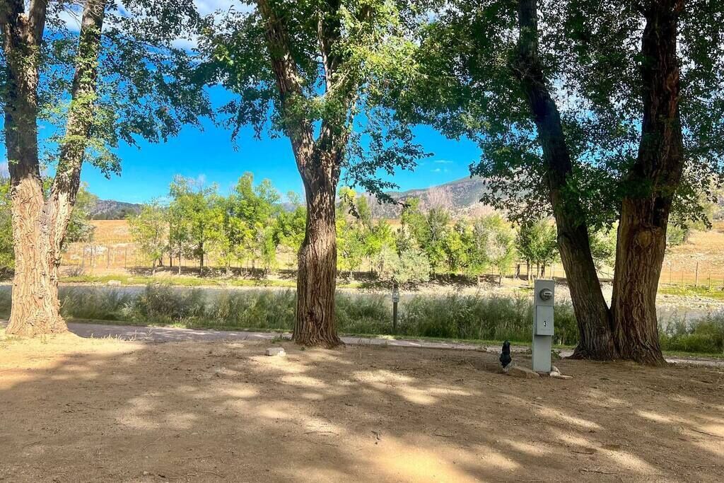A campsite with trees, a dirt ground, and a utility box.