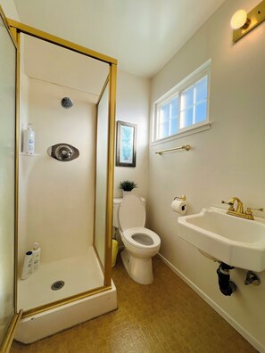 Secadora de cabello, toallas, jabón, papel de baño 