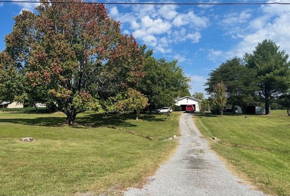 Un chemin de campagne menant à une maison avec un garage, entourée d’arbres et d’herbe.