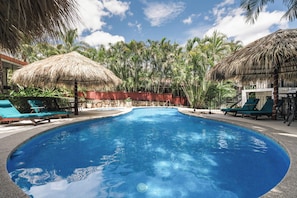 A swimming pool with lounge chairs and thatched umbrellas, surrounded by palm trees. - King Suite I Ensuite I Kitchenette | Pool, Spa & Patio I Near Beach I Suite One (Del Coco Beach)