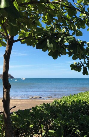 Beach nearby - King Suite w/ Ensuite & Kitchenette | Pool, Hot Tub & Patio I Walk to Beach & Shops (Del Coco Beach)