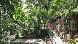 Un jardin intérieur luxuriant, avec un sentier, une clôture en métal et diverses plantes.