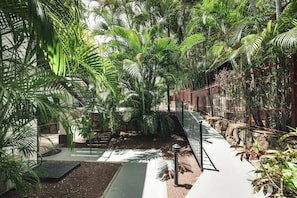 A lush indoor garden with a pathway, metal fence, and various plants.