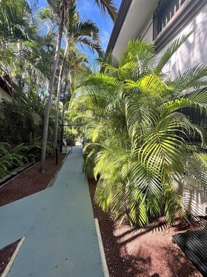 Property grounds - Private Casita w/ Pool, Hot Tub & Screened Patio | Short Walk to Beach & Shops. (Del Coco Beach)
