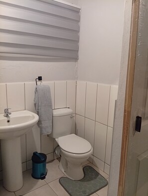 Séchoir à cheveux, serviettes fournies, savon, papier de toilette