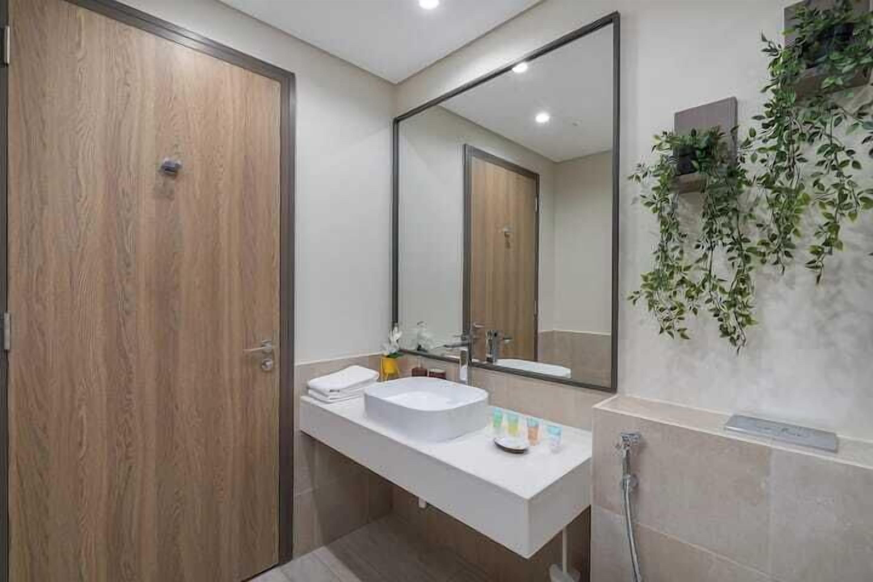 A modern bathroom with a wooden door, a white sink, a large mirror, and a wall-mounted plant.