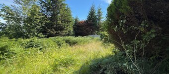 Private Main Floor Residence – 3 Bedrooms in West Vancouver
