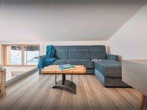 TV, fireplace, video games, DVD player - Chalet Arpitan Orizon - Chalet in the Vanoise National Park - OVO Network (Pralognan-la-Vanoise)