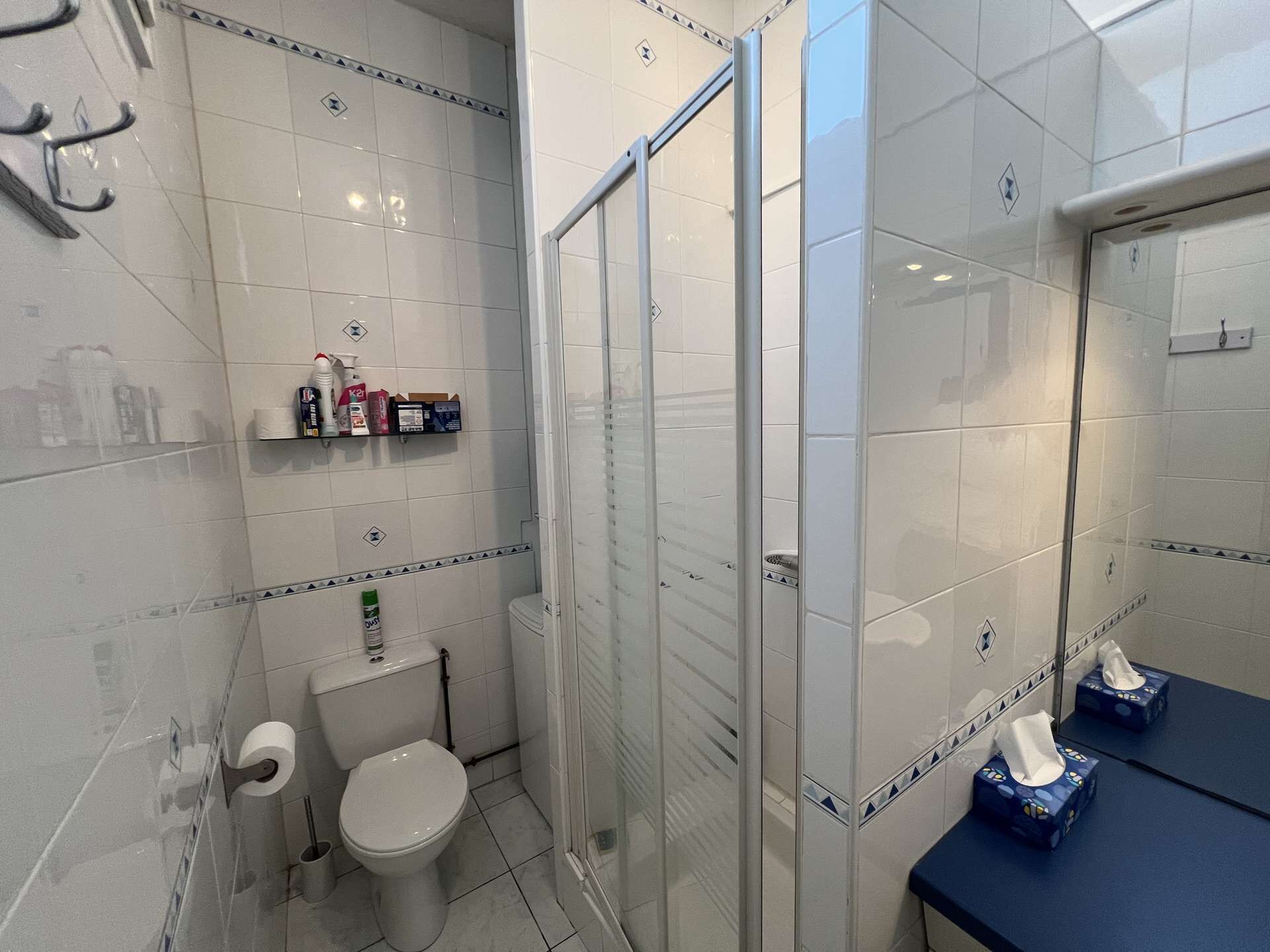 A bathroom with a toilet, a shower enclosure, and a shelf with toiletries.