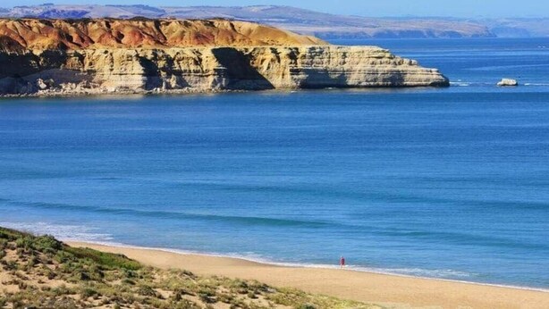A coastal landscape with cliffs, a beach, and a person standing on the sand. - Treetop Ocean Views at Maslin Beach Coastal Escape (Maslin Beach)