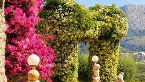 Un jardí amb un camí de pedra, una estàtua i un arbre de flors roses.