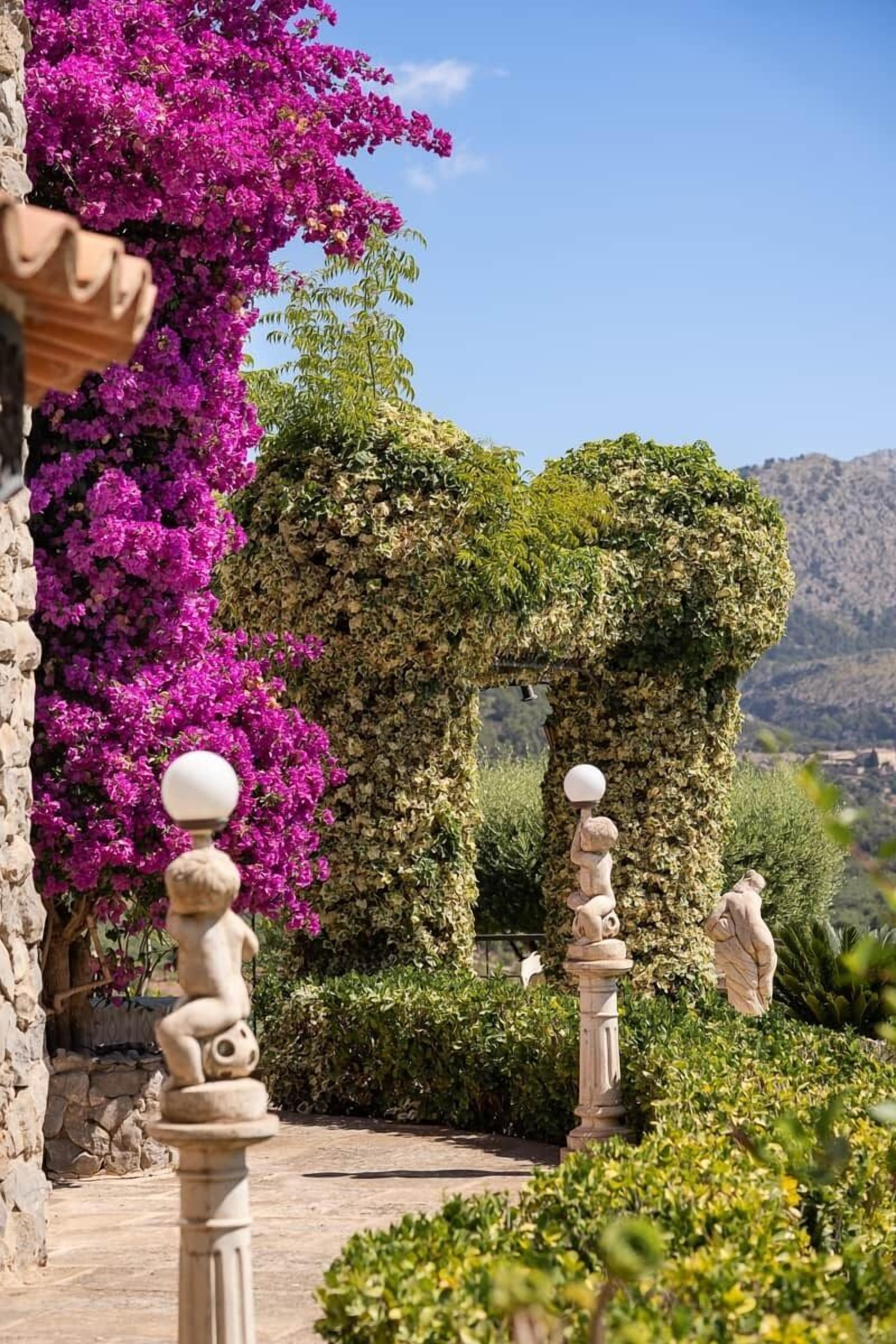 Terrain de l’hébergement 