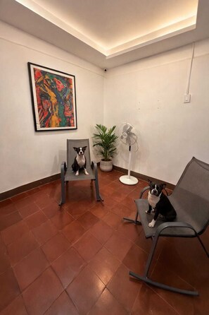 Interior - OC HOUSE: Pet Friendly with A/C and parking. Safe Zone 10 minutes from the Granada Center (Granada)