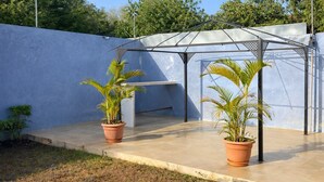 A covered outdoor area with potted plants, a tiled pathway, and a blue wall.