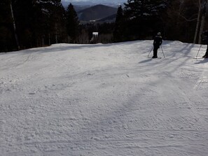 Snow and ski sports - Cozy 1-bedroom studio in serene Park City at Westgate Resort!
All amenities! (Park City)