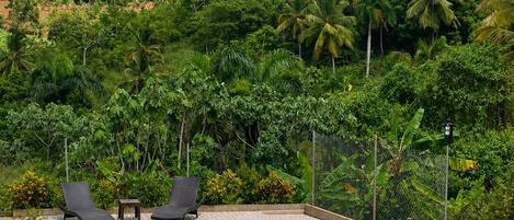 Una piscina con lettini e vista su un'area collinare verde e rigogliosa.