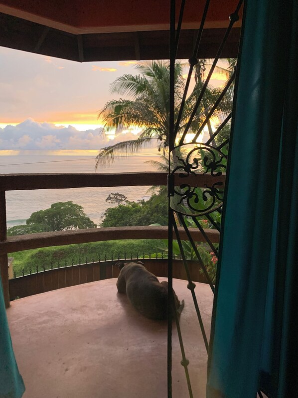 Un balcon avec vue sur la mer et les palmiers.