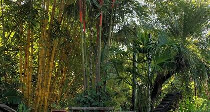 Little castle on the beach, 3 bedroom 3 bathroom with pool in Dominicolito