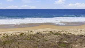 Ein Strand mit Wellen, blauem Himmel und trockener Vegetation.