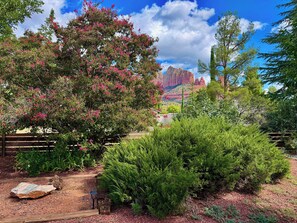 A garden with a variety of plants and a wooden bench. - Myrinn – Red Rock Views & Walk to Uptown (Sedona)