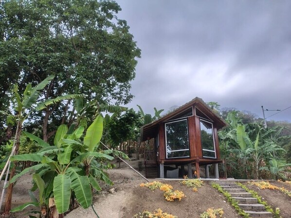 A wooden cabin with large windows, surrounded by banana plants and a dirt path.