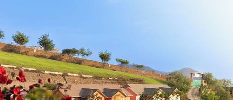 A rural setting with a grassy hill, a few trees, and a small building with a red roof.