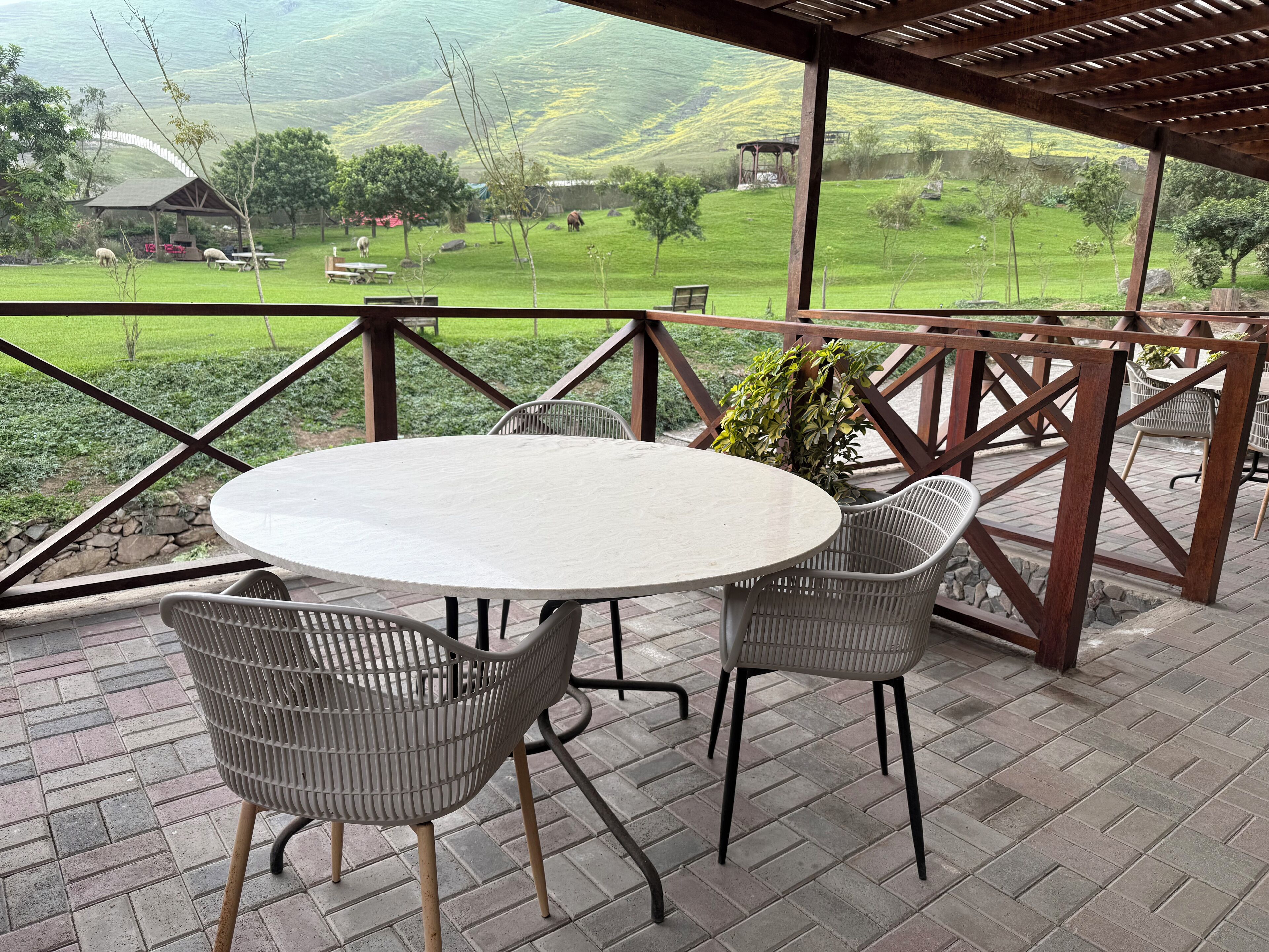 Deluxe Suite, Mountain View | Outdoor dining