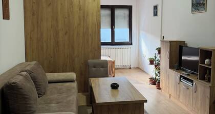 Sunny Cozy Studio • Wi-Fi • Elevator •Urban Studio