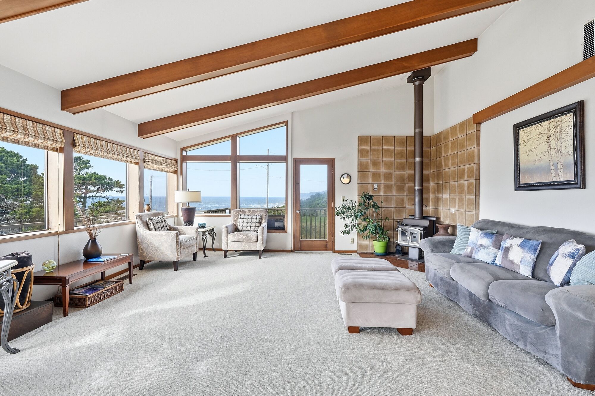 Smart TV, fireplace, DVD player, books