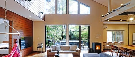 TV, fireplace