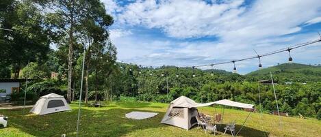 A campsite with tents, a picnic table, and a grassy area.