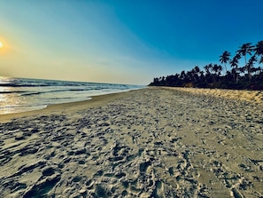Una playa con huellas, palmeras y el océano.