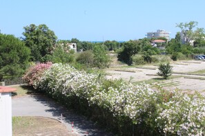 A landscaped area with flowering bushes, a paved path, and buildings in the background. - Beautiful 1-bedroom apartment near the ocean, with Wi-Fi (Marcelli)