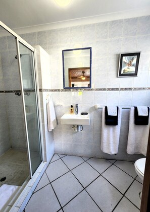 Bathroom - Quiet guest cottage by nature reserve with mountain views. Close to amenities, (Montagu)