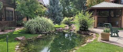 Terrein van de accommodatie