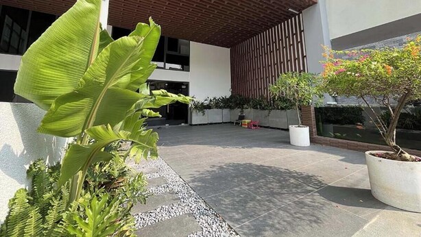 A courtyard with a modern building, a large potted plant, and a small tree.