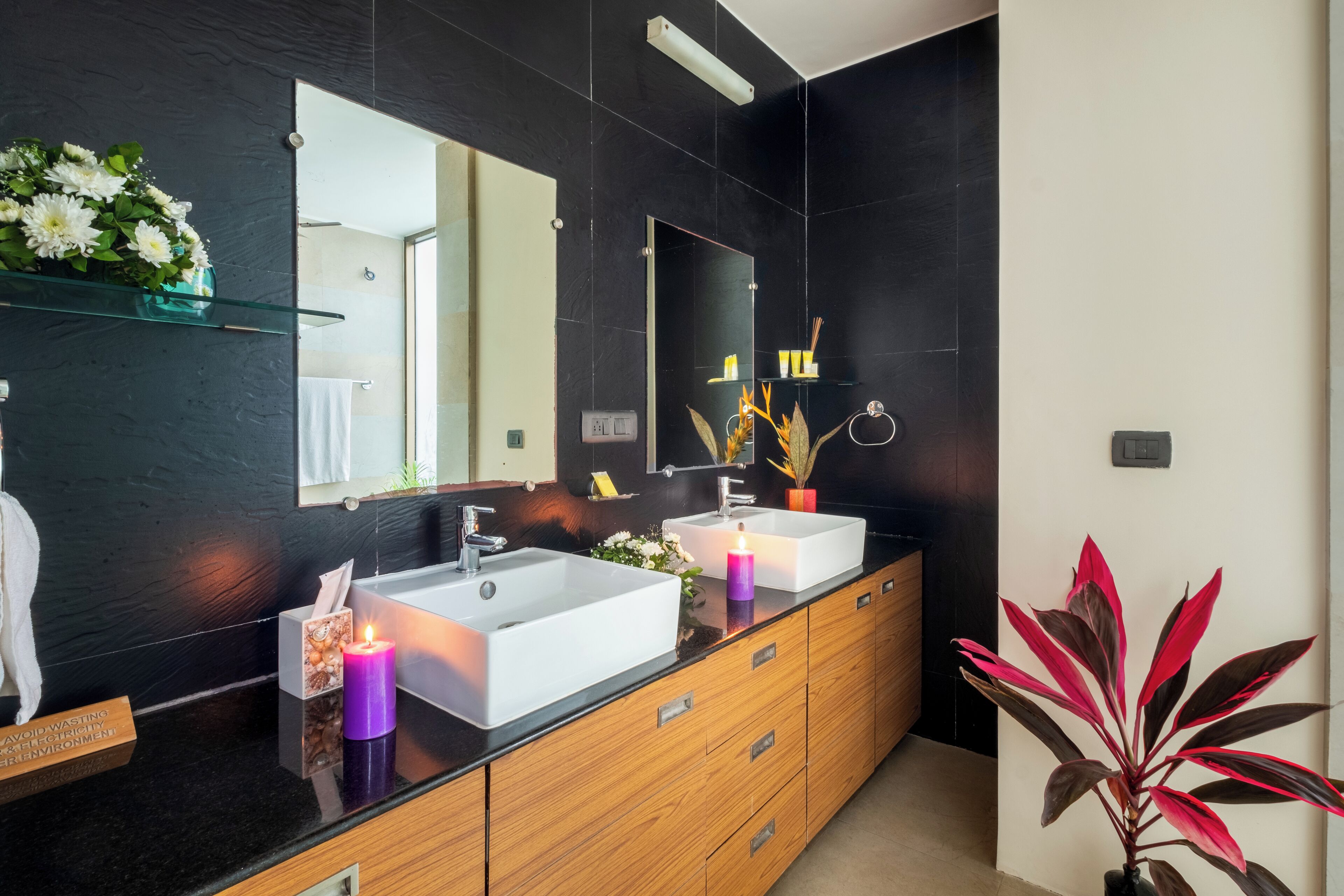A modern bathroom with two sinks, a large mirror, and a potted plant.
