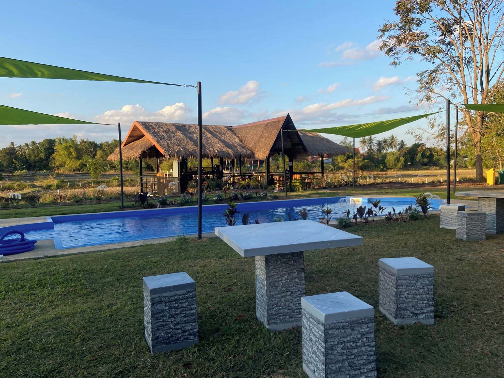 Suite estudio de lujo, vistas al complejo turístico | Piscina