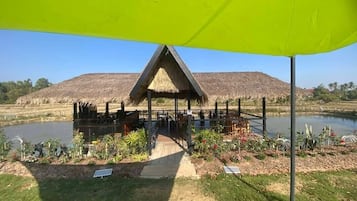 Luxe studio suite, uitzicht op resort | Terrein van de accommodatie