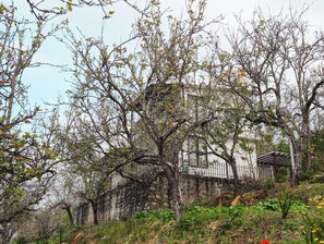 Exterior - Winter Fall (Kodaikanal)