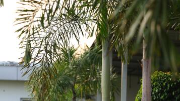 Overnattingsstedets uteområder