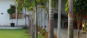 The Sunflower Resort
