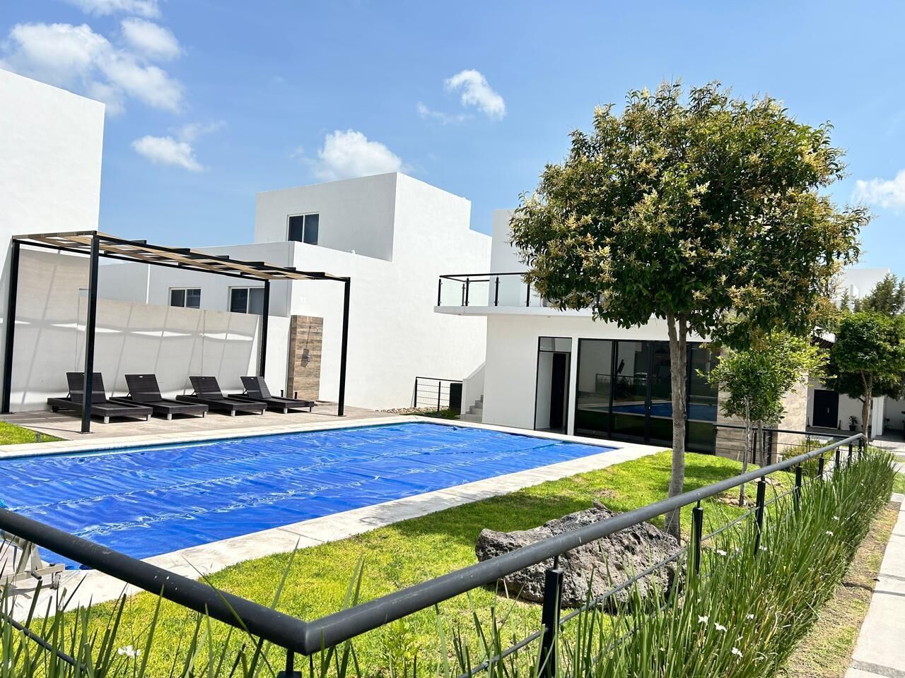 Un espace piscine extérieur moderne, doté de chaises longues, d’une pergola et d’un arbre.