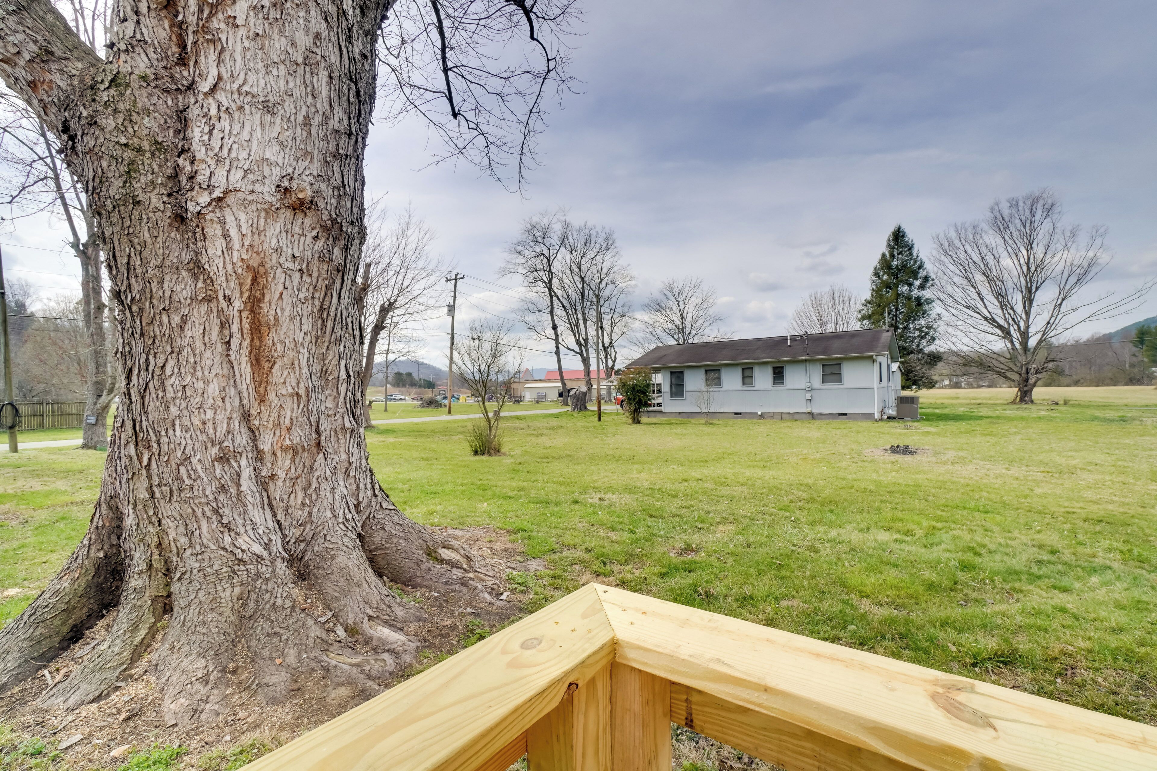 Un grand arbre, un champ d’herbe et un bâtiment en arrière-plan.