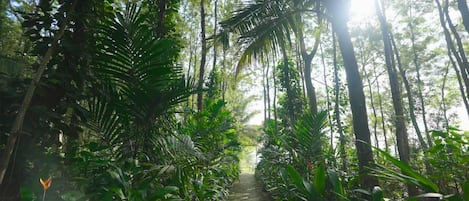 Traditional-Ferienhaus | Unterkunftsgelände