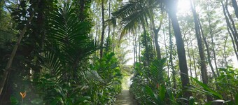 Blue Lagoon Inn Resort