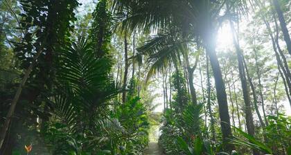 Blue Lagoon Inn Resort