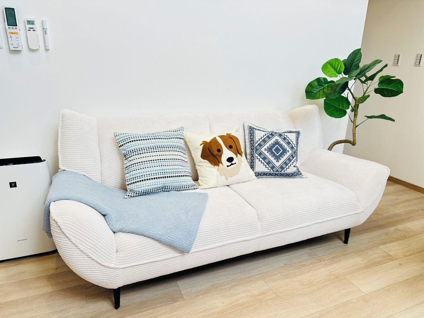 A white sofa with patterned pillows, a blue throw blanket, and a plant in a corner.