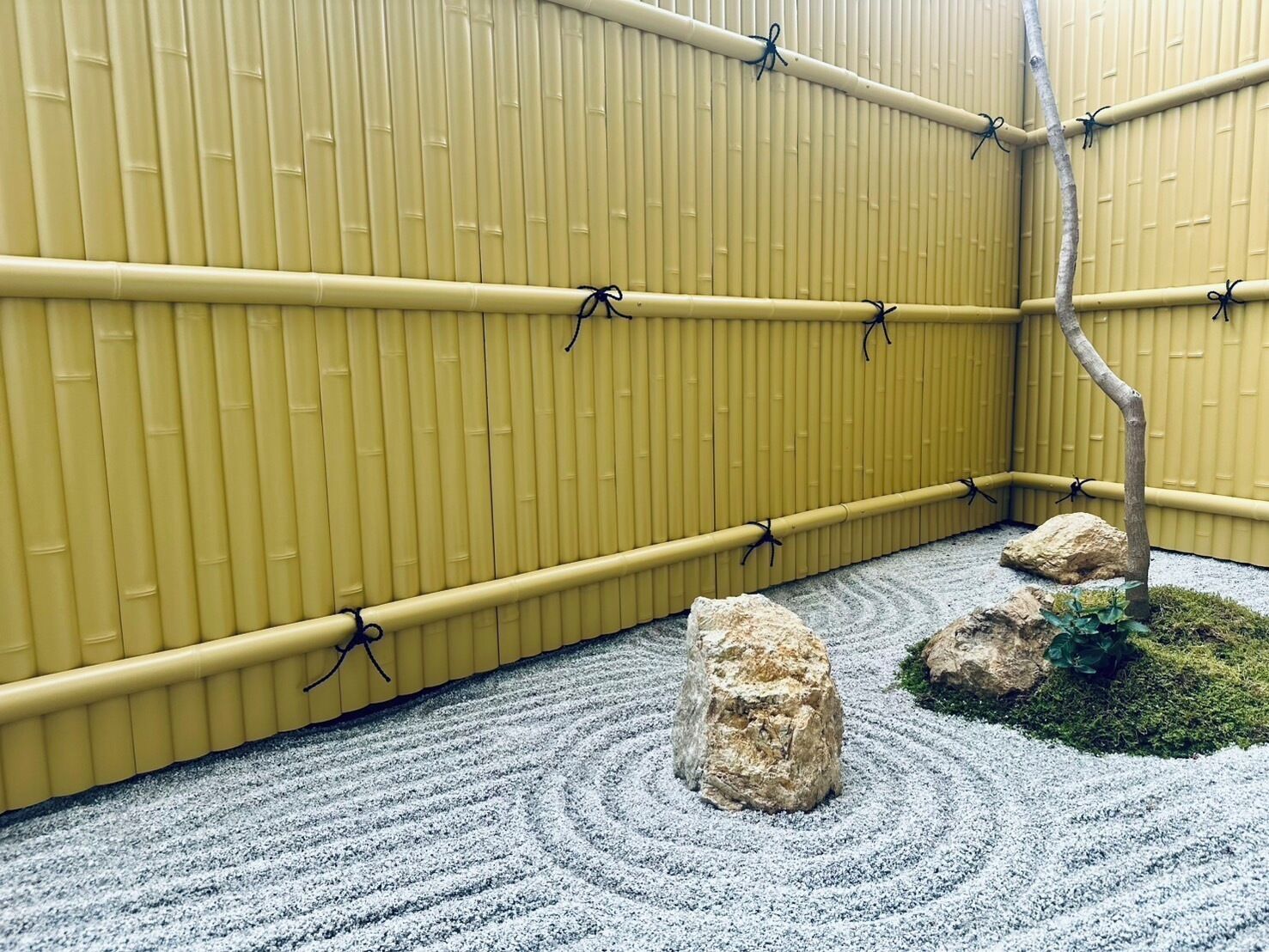 Un giardino giapponese tradizionale con pareti in bambù, una roccia al centro e un piccolo albero.