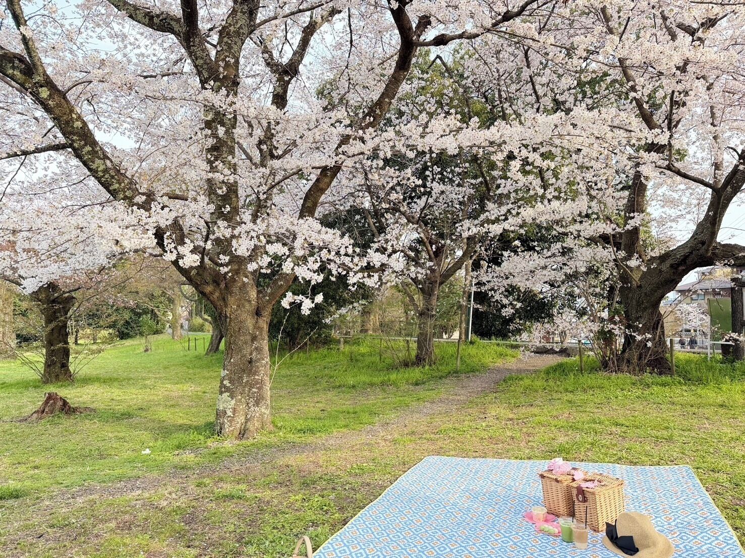 Land view from property